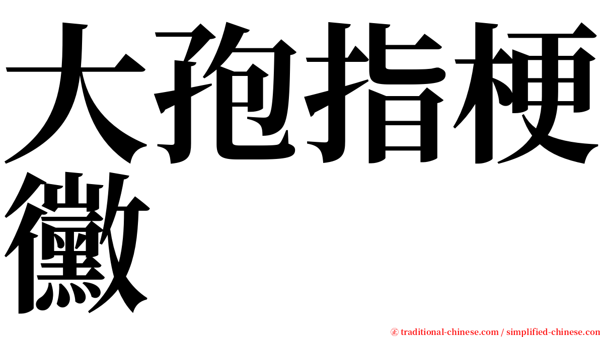 大孢指梗黴 serif font