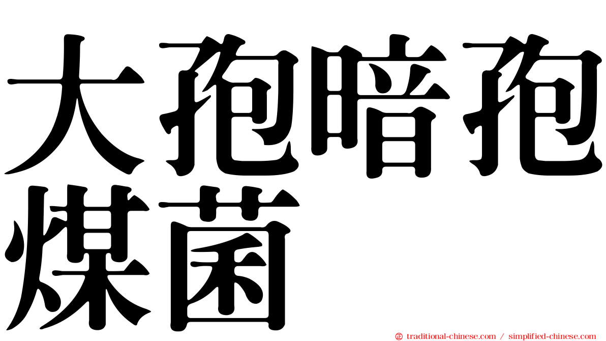 大孢暗孢煤菌