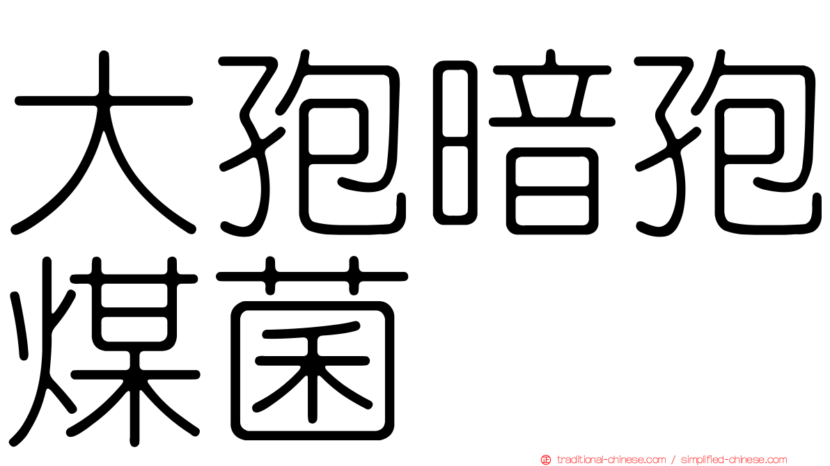 大孢暗孢煤菌