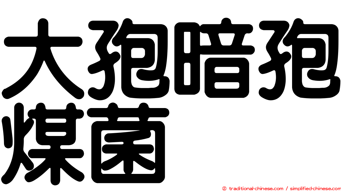 大孢暗孢煤菌