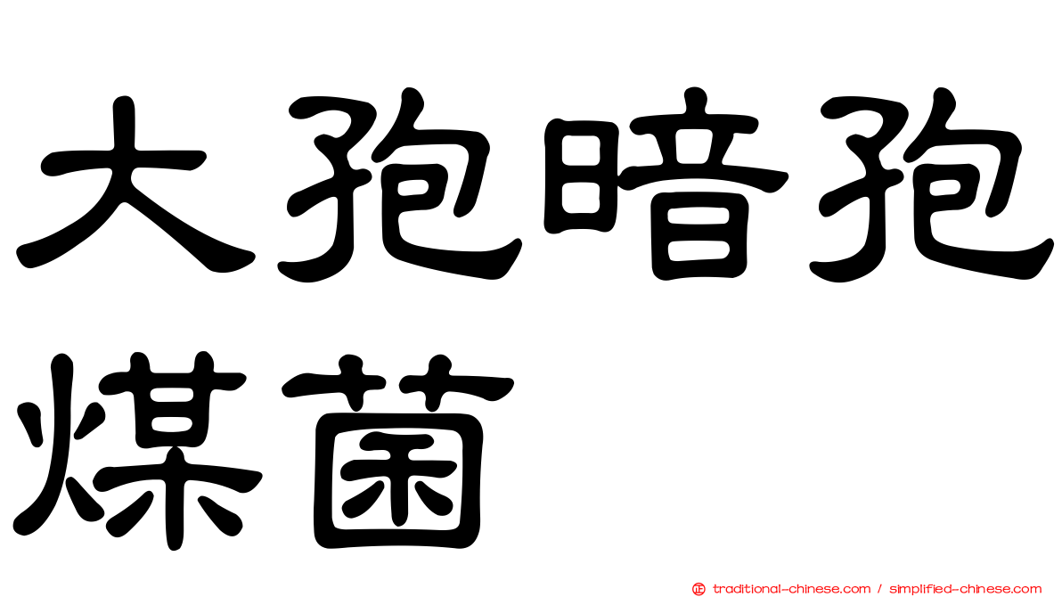 大孢暗孢煤菌