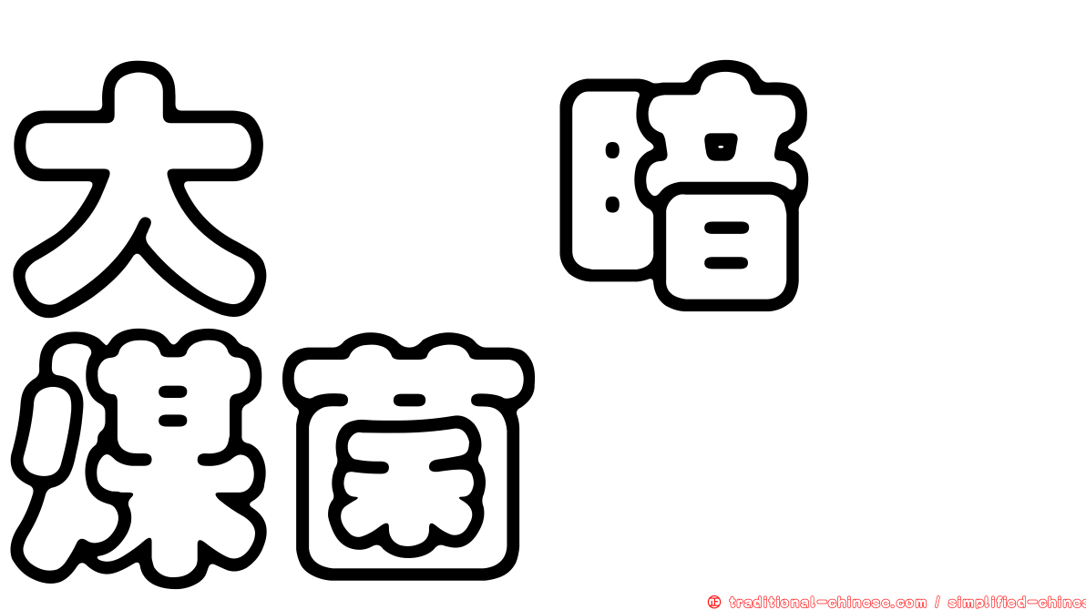 大孢暗孢煤菌