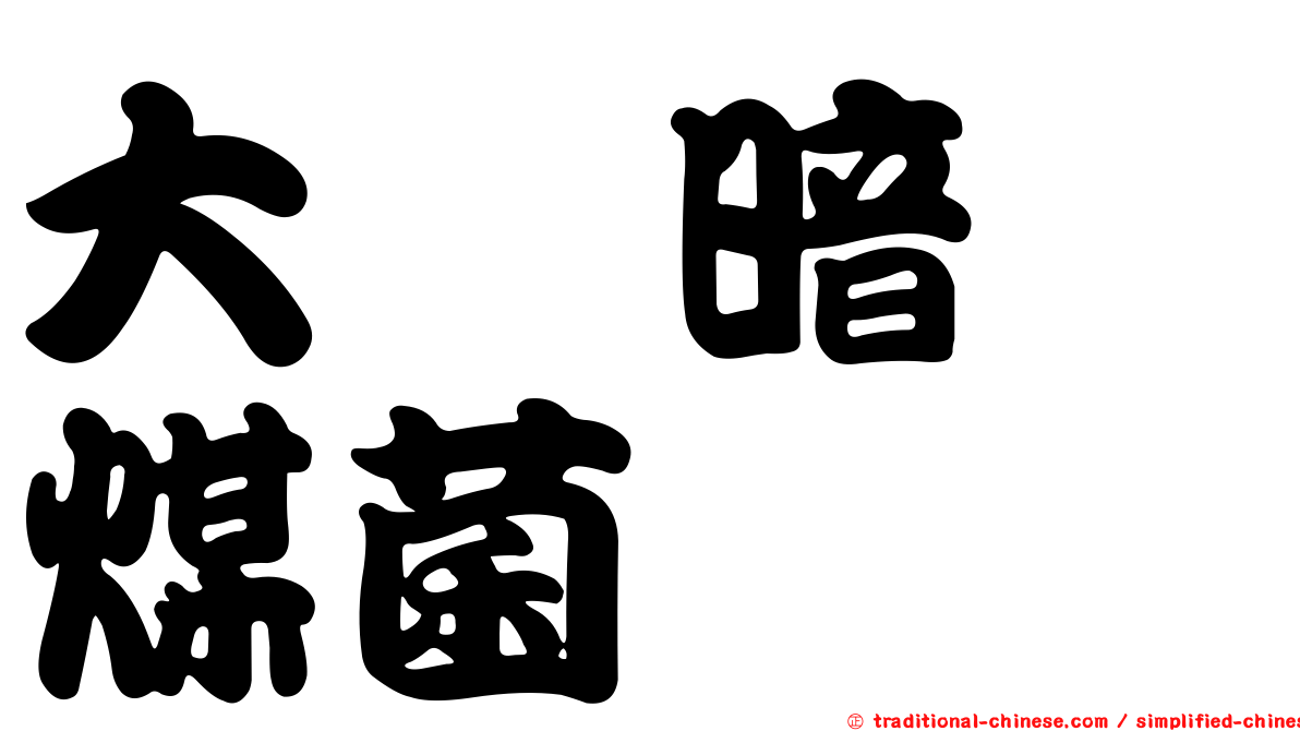 大孢暗孢煤菌