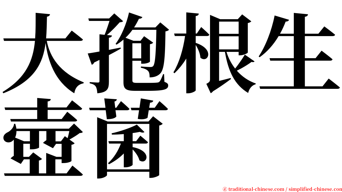 大孢根生壺菌 serif font