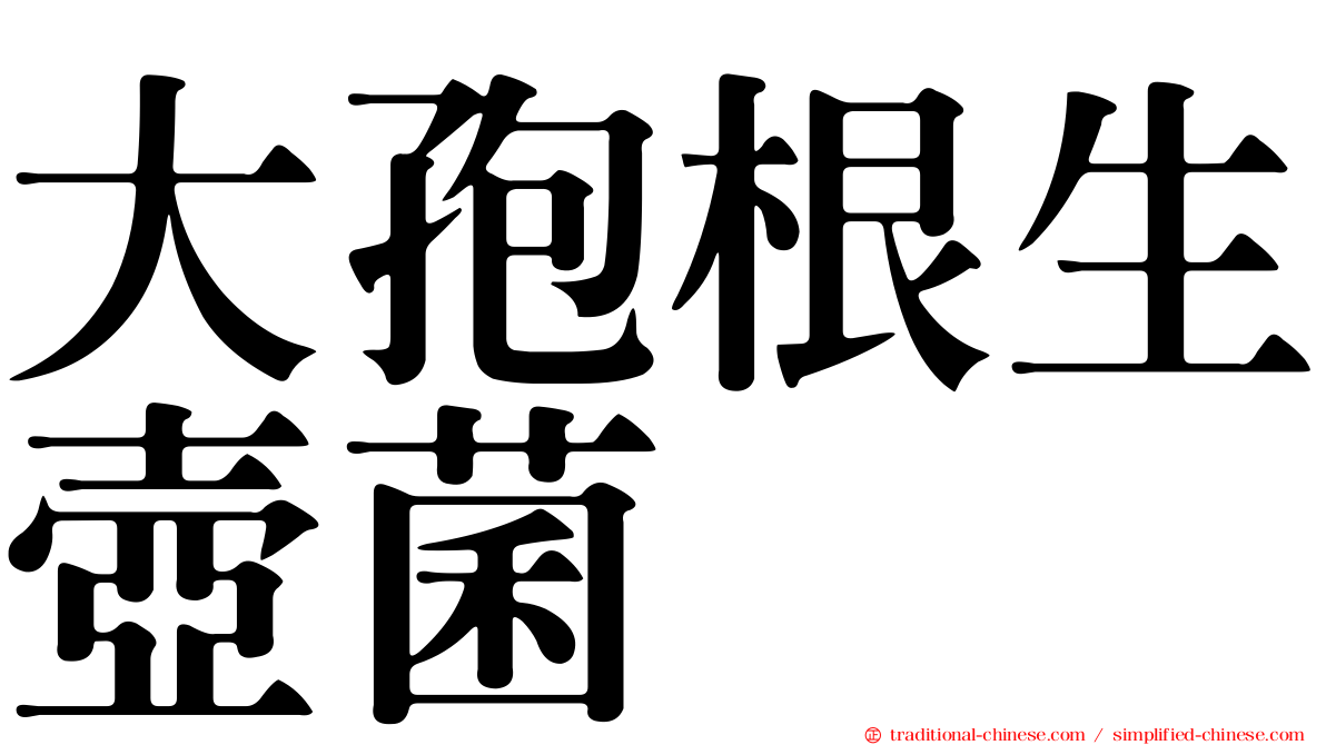 大孢根生壺菌