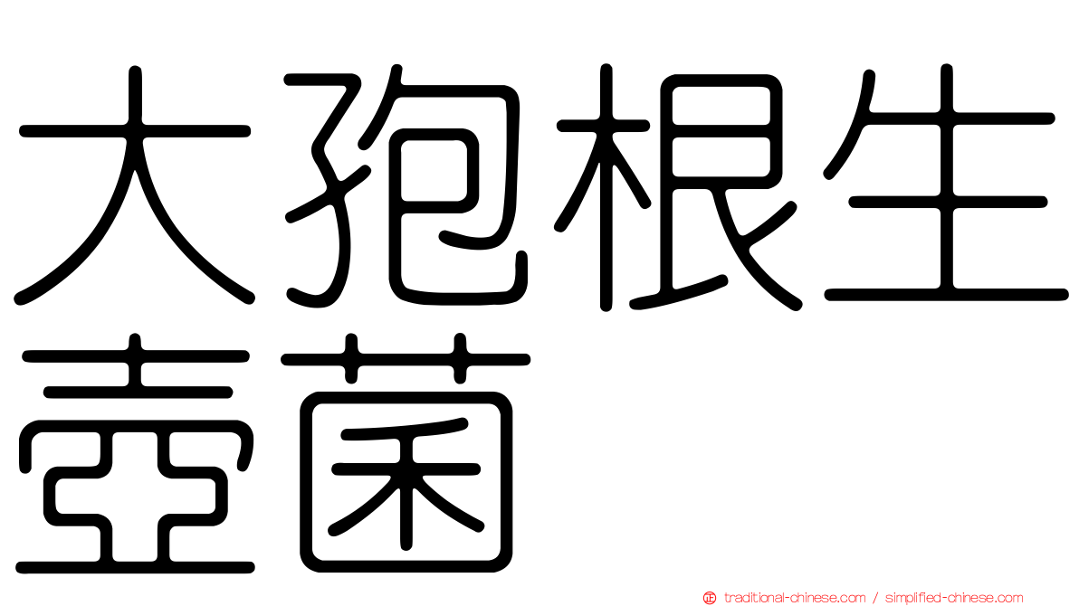大孢根生壺菌