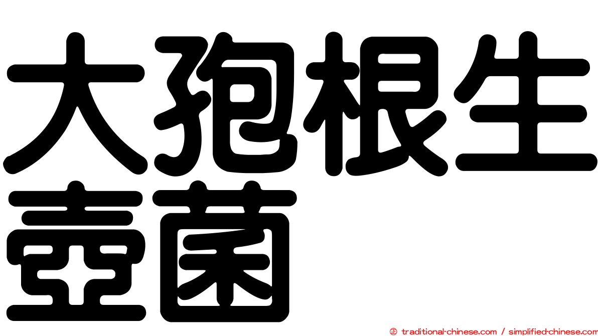 大孢根生壺菌