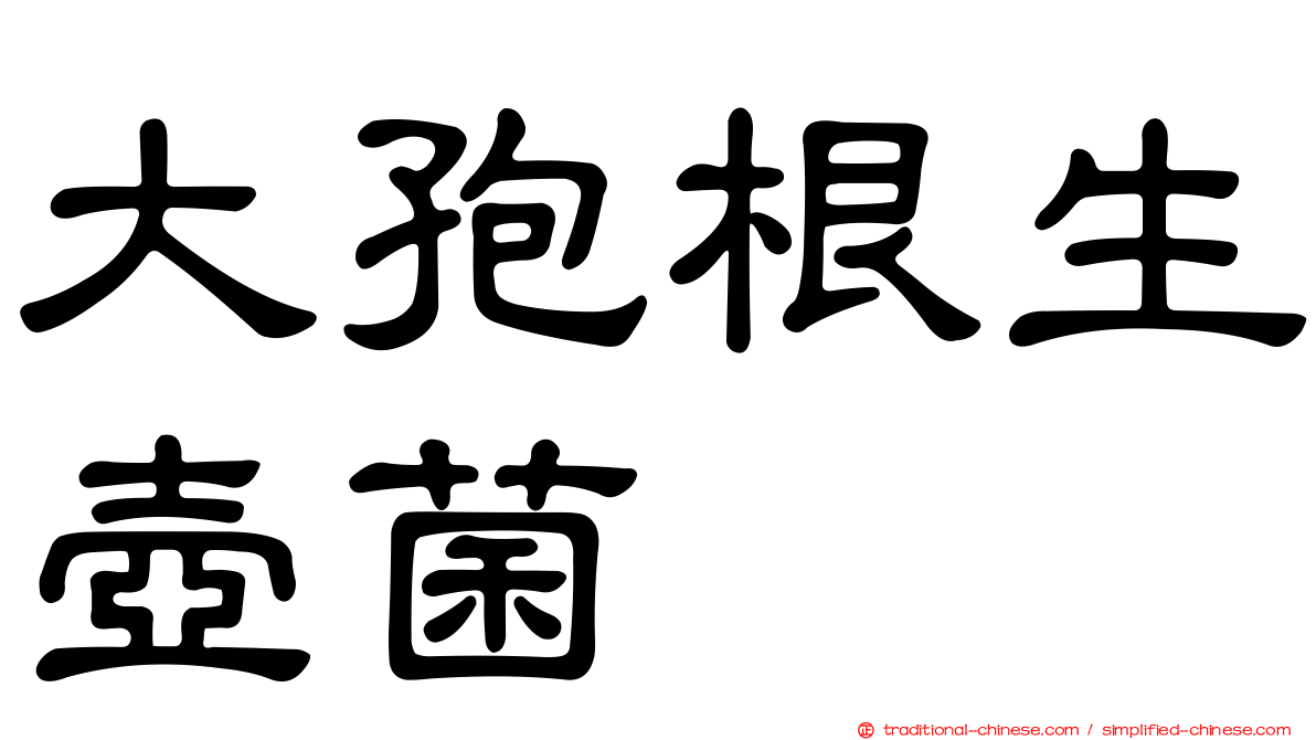 大孢根生壺菌