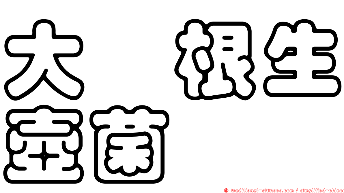 大孢根生壺菌