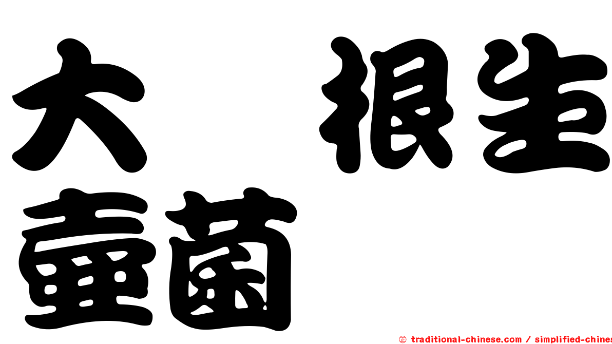大孢根生壺菌