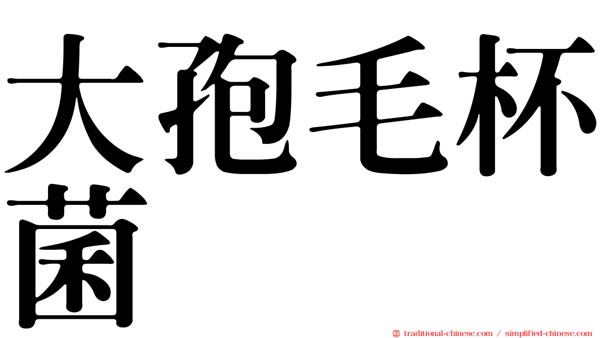 大孢毛杯菌