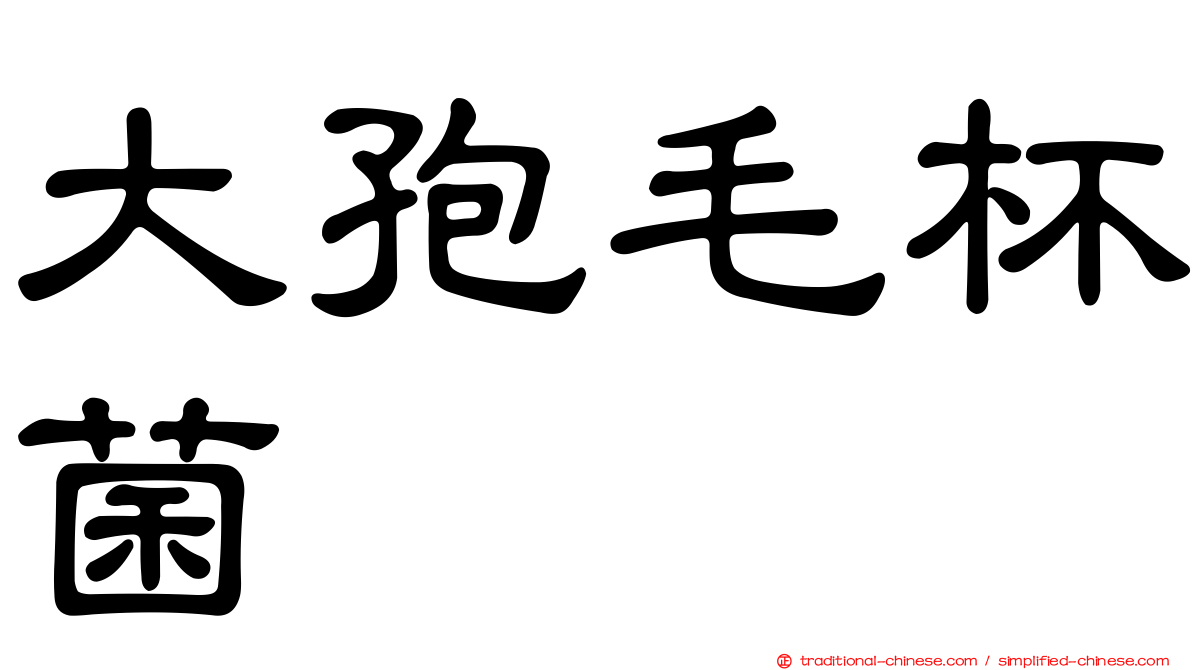 大孢毛杯菌