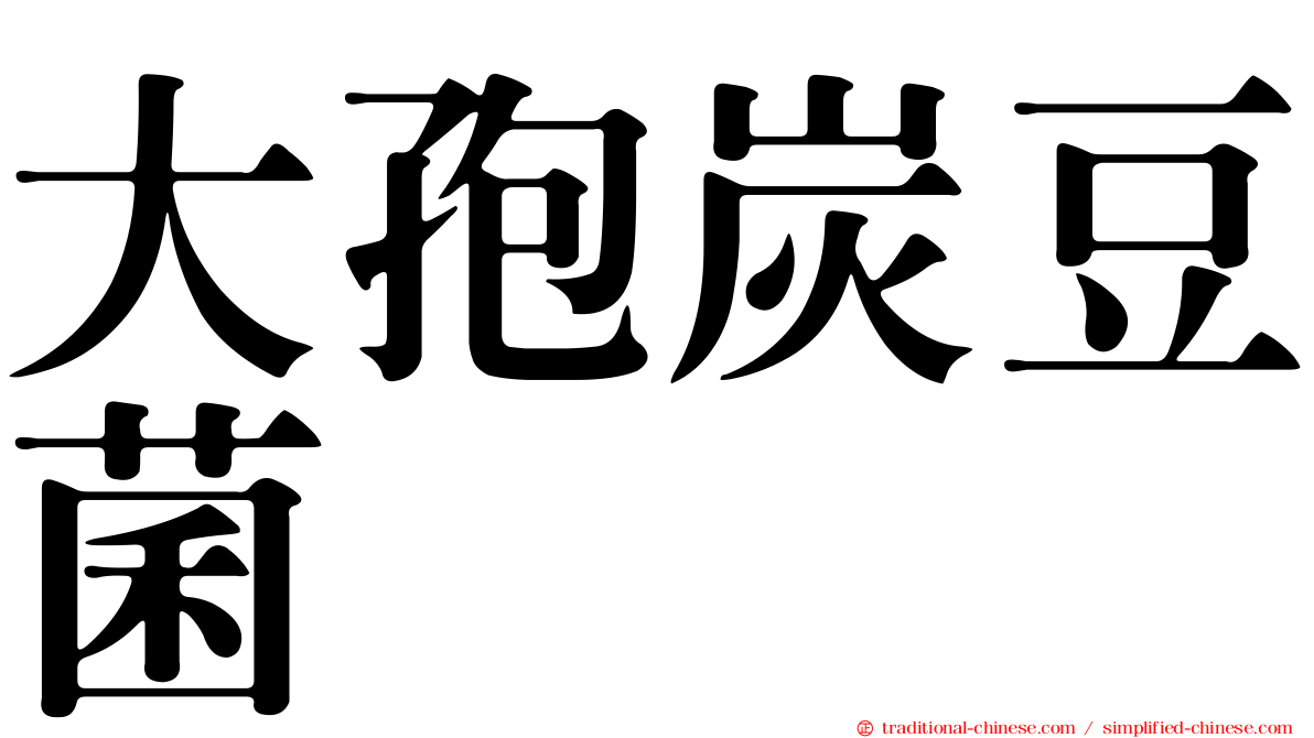 大孢炭豆菌