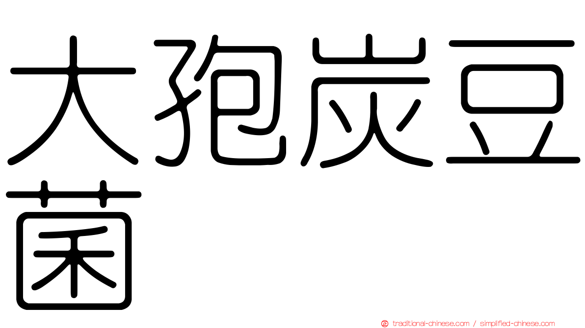 大孢炭豆菌