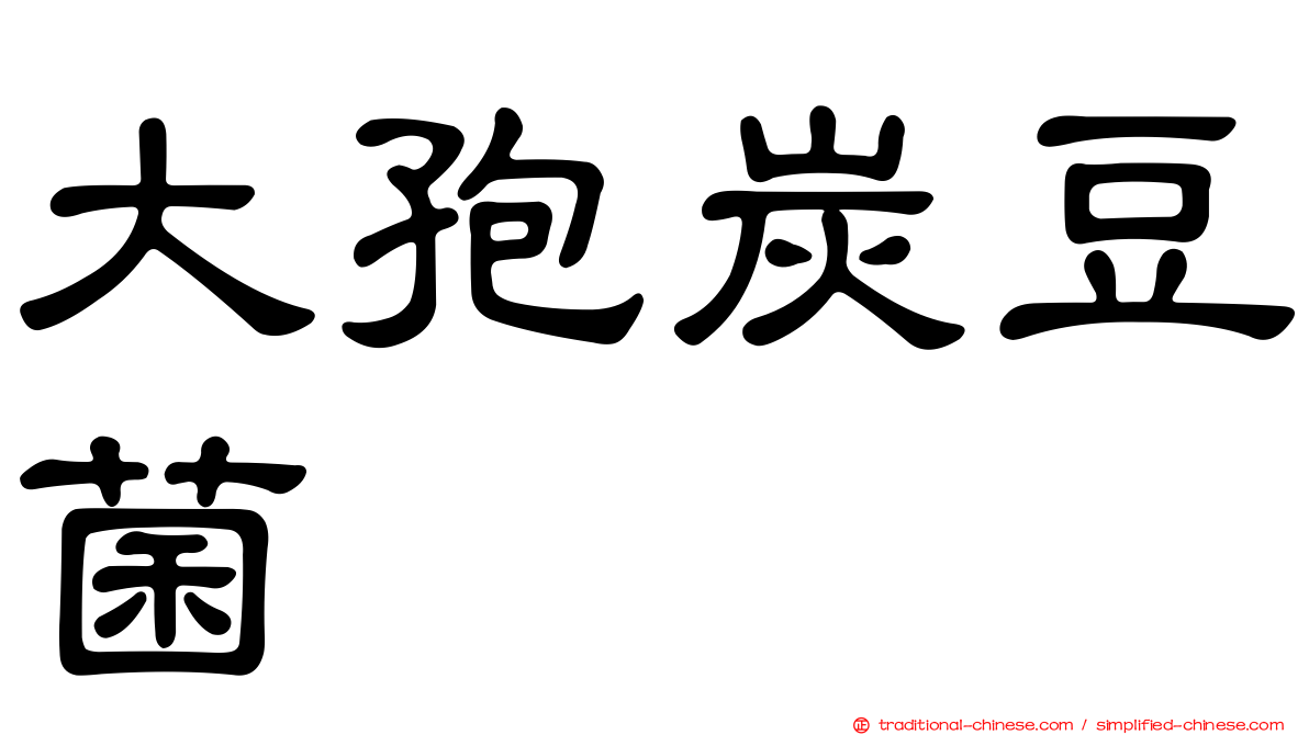 大孢炭豆菌