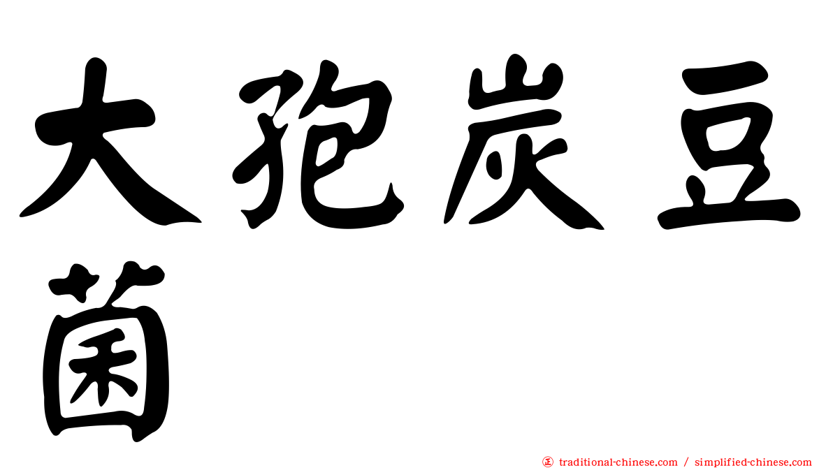 大孢炭豆菌