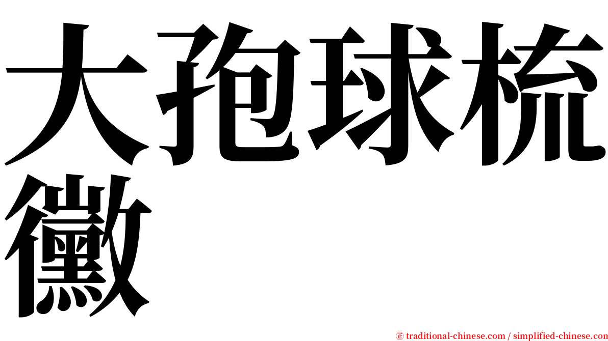 大孢球梳黴 serif font