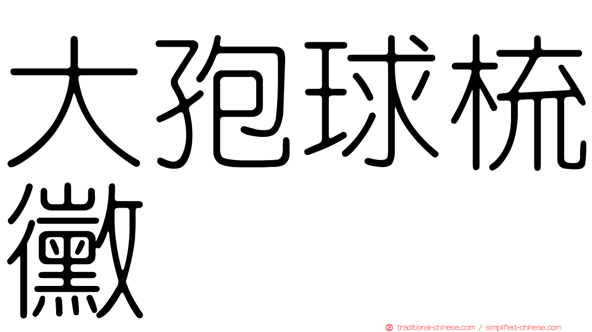 大孢球梳黴