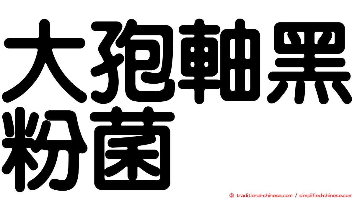 大孢軸黑粉菌