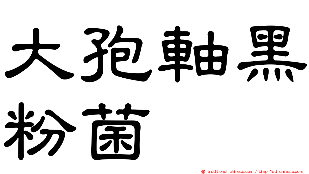 大孢軸黑粉菌
