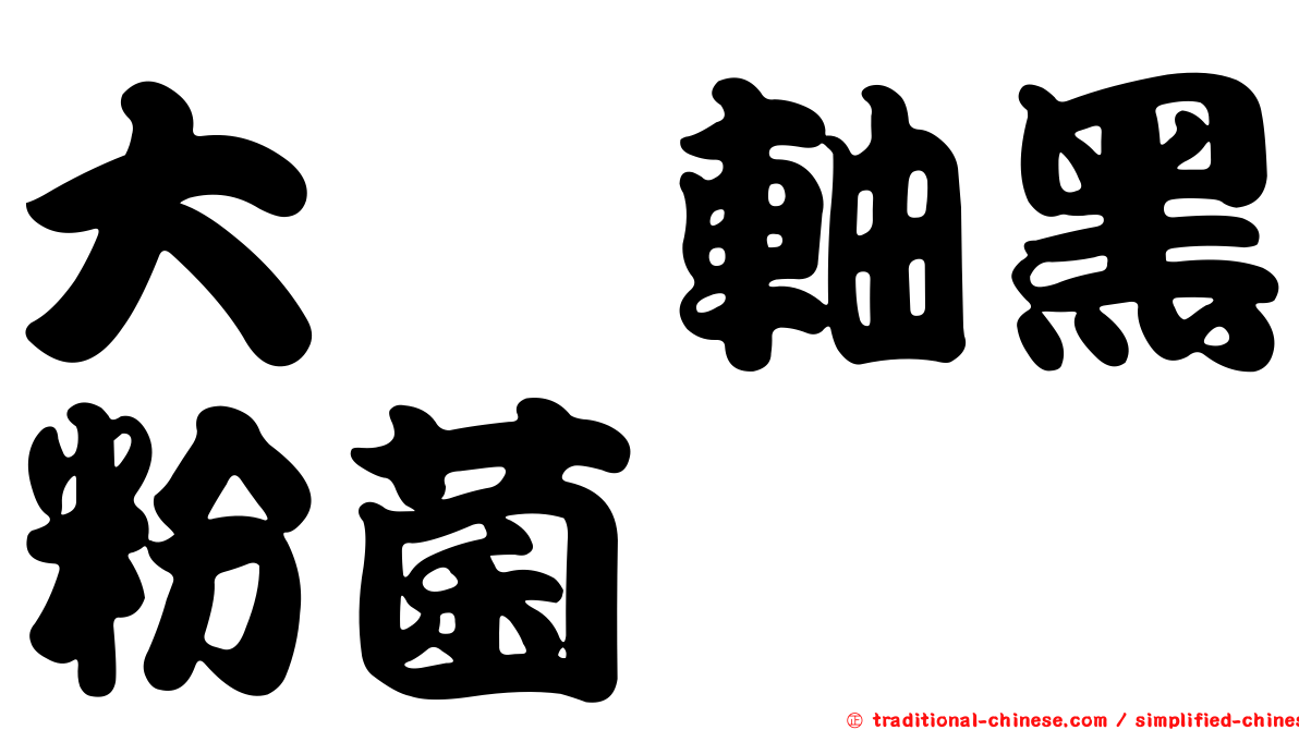 大孢軸黑粉菌