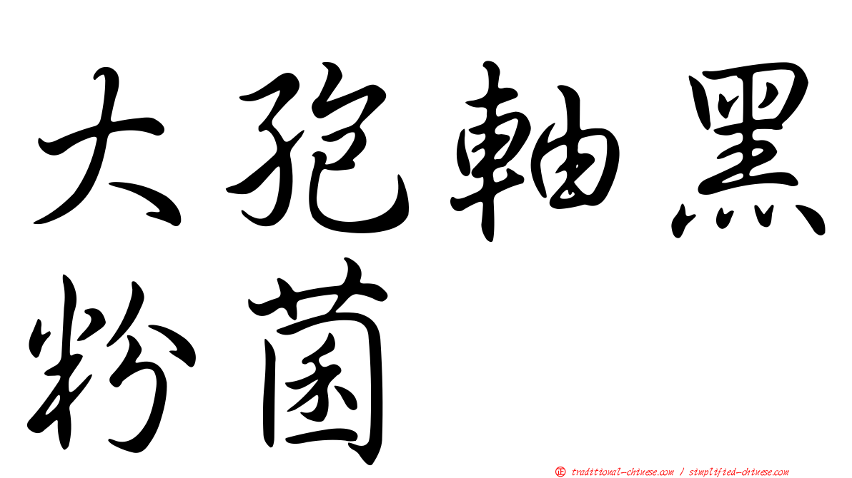 大孢軸黑粉菌