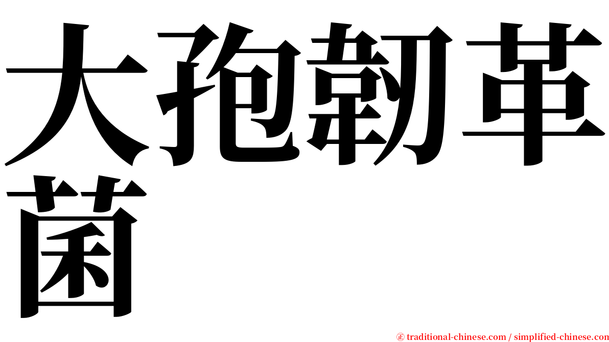 大孢韌革菌 serif font