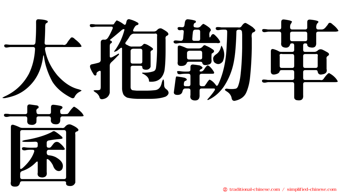 大孢韌革菌