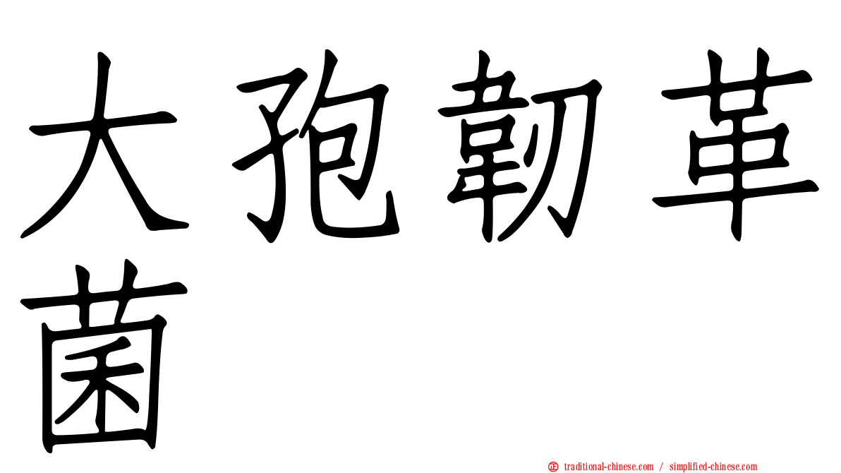大孢韌革菌