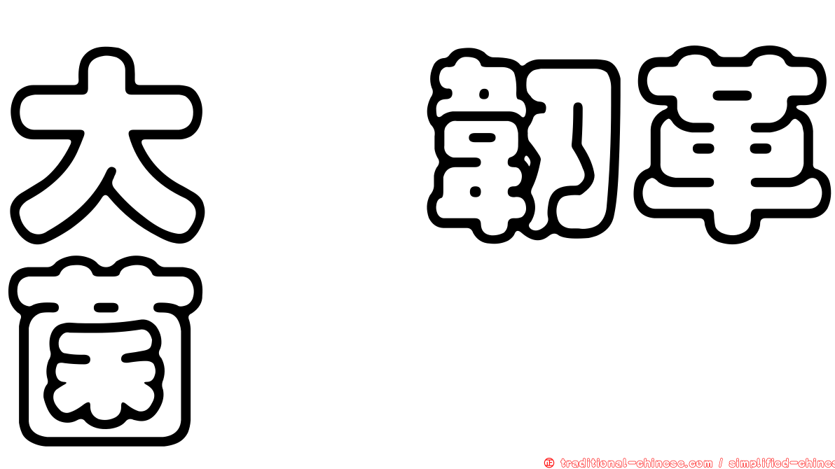大孢韌革菌