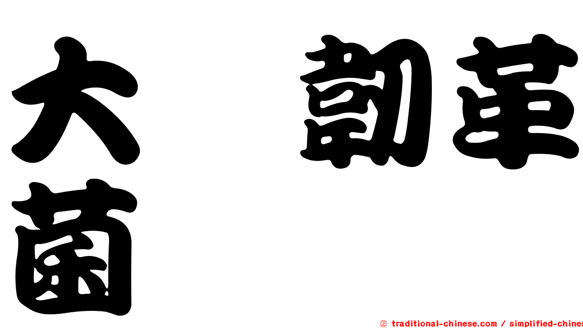 大孢韌革菌