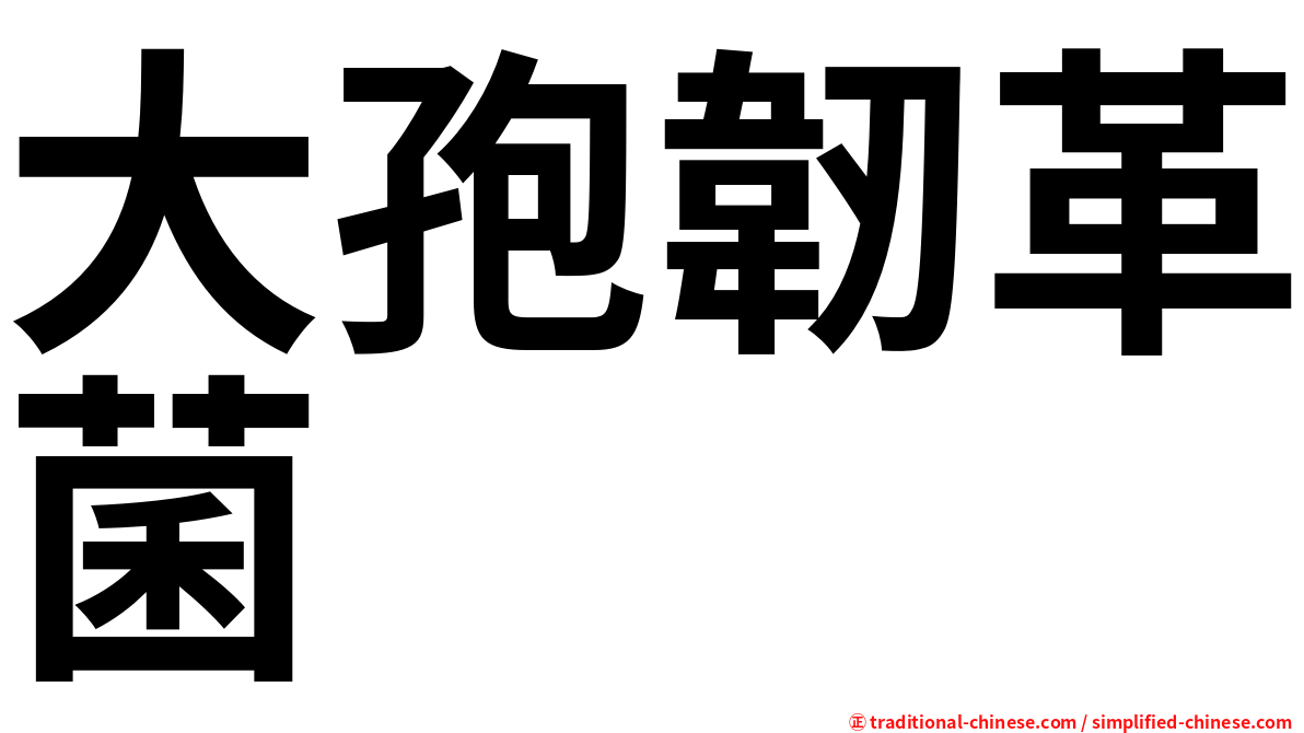大孢韌革菌