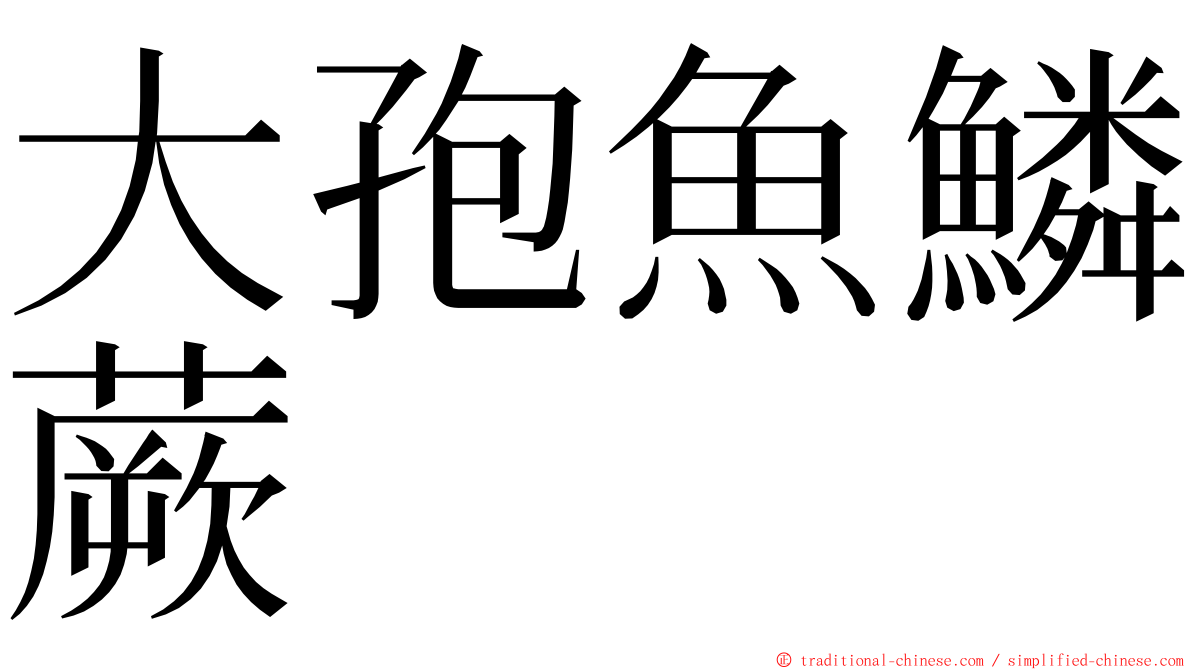 大孢魚鱗蕨 ming font