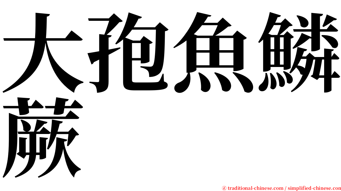 大孢魚鱗蕨 serif font