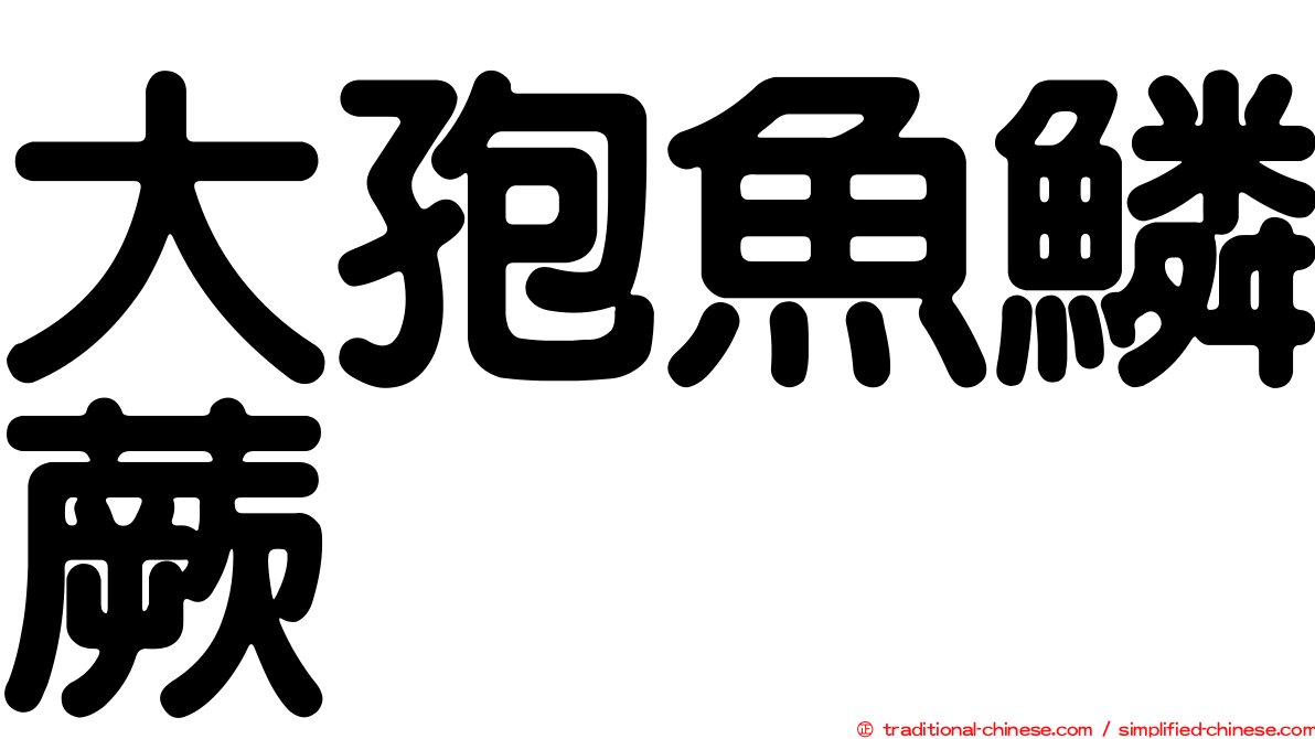 大孢魚鱗蕨