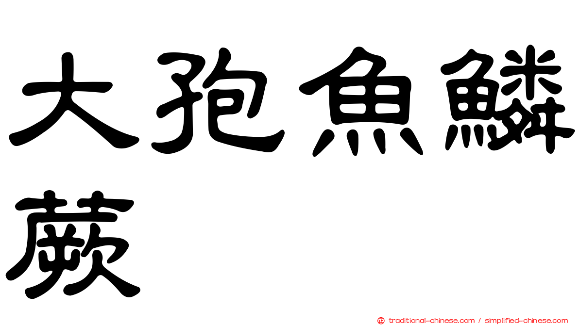 大孢魚鱗蕨