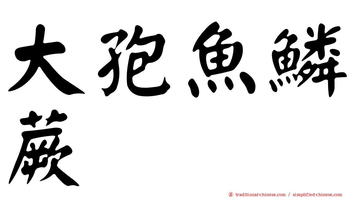 大孢魚鱗蕨