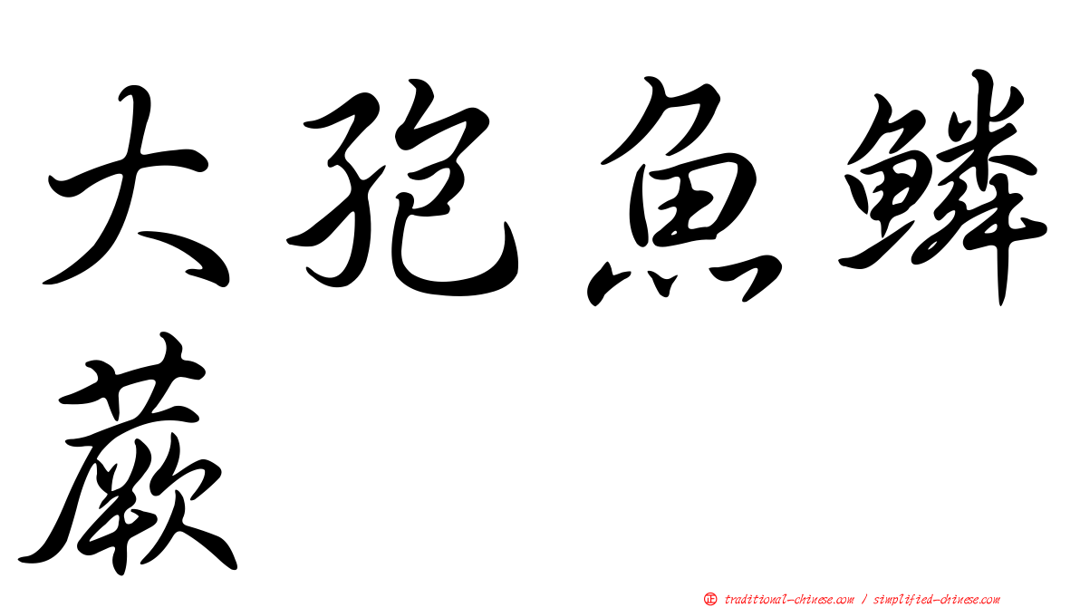 大孢魚鱗蕨