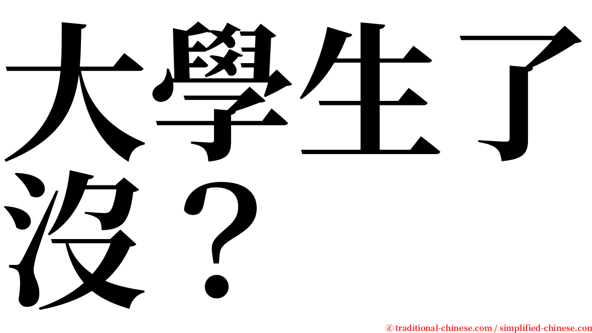 大學生了沒？ serif font