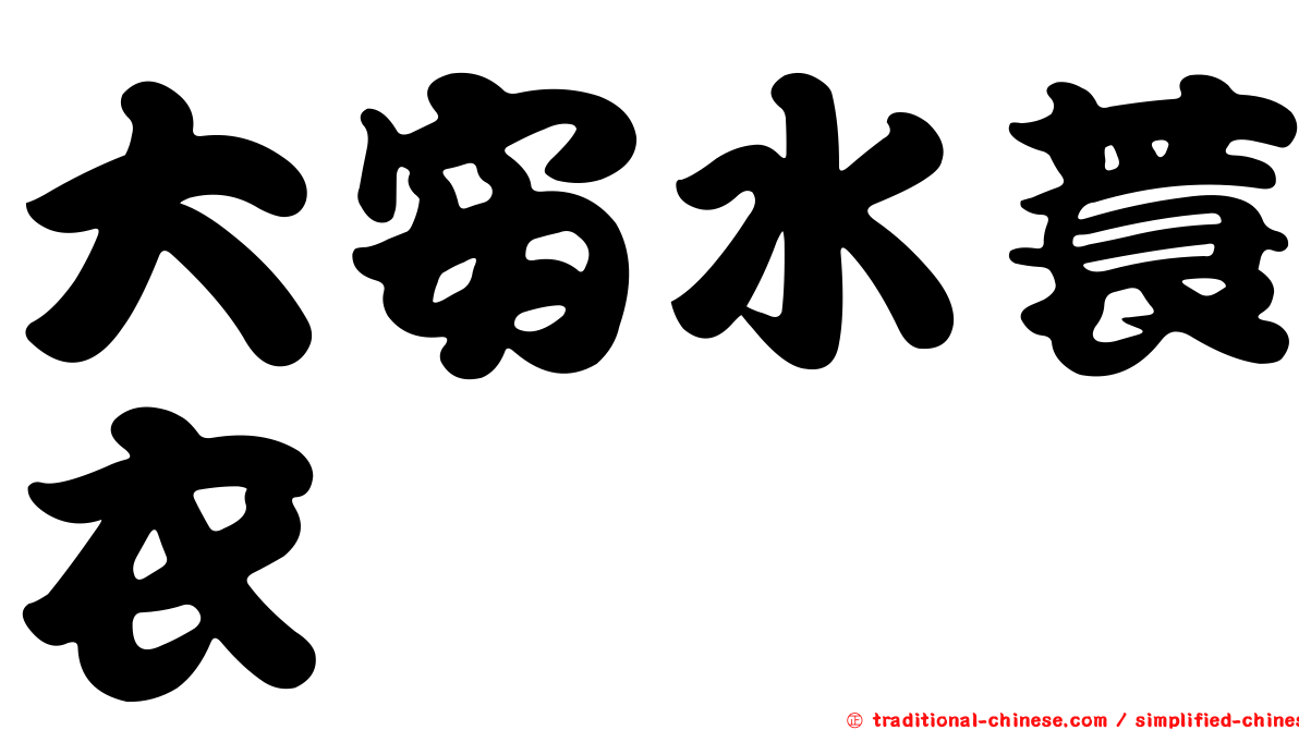 大安水蓑衣