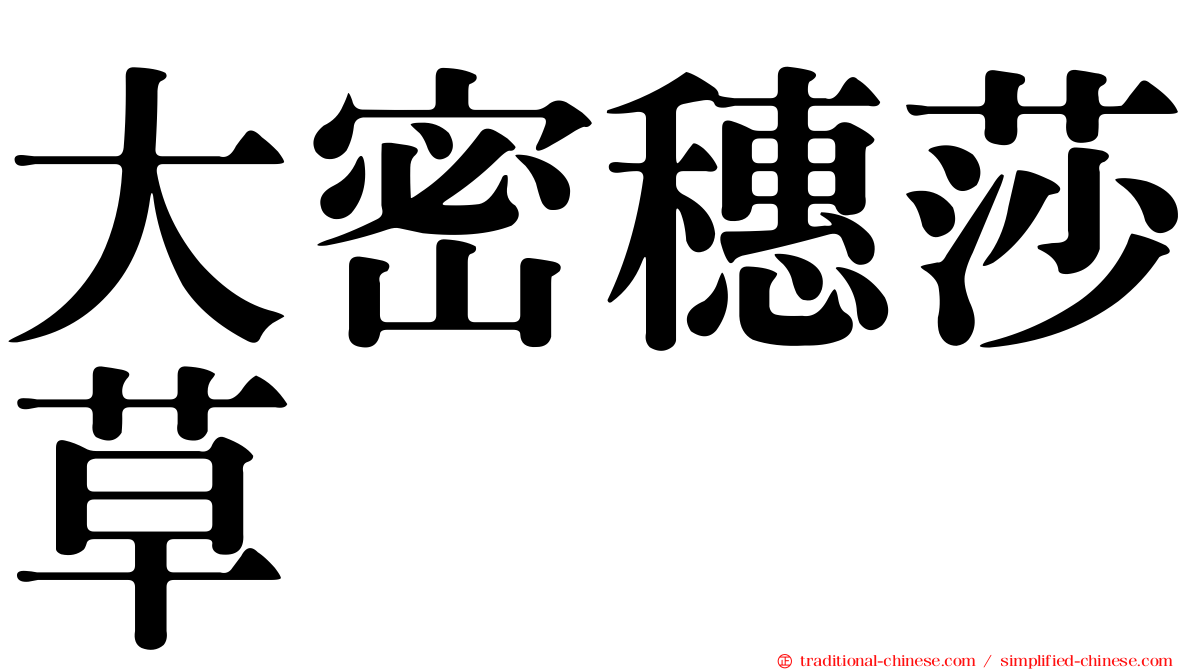 大密穗莎草