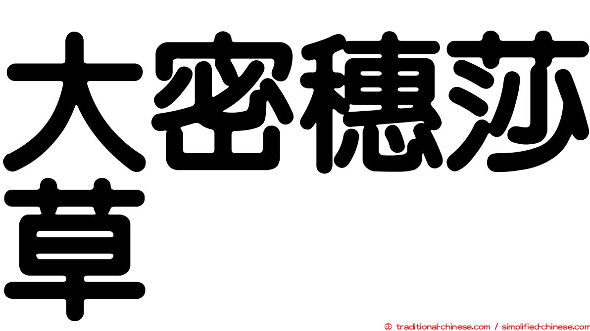 大密穗莎草