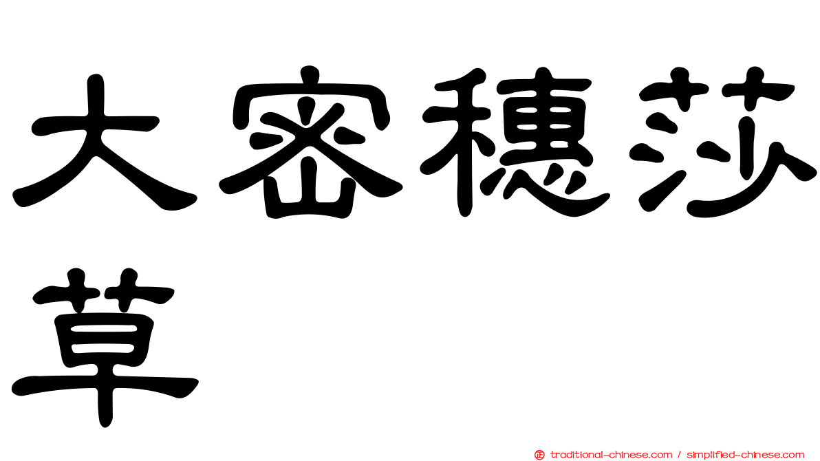 大密穗莎草