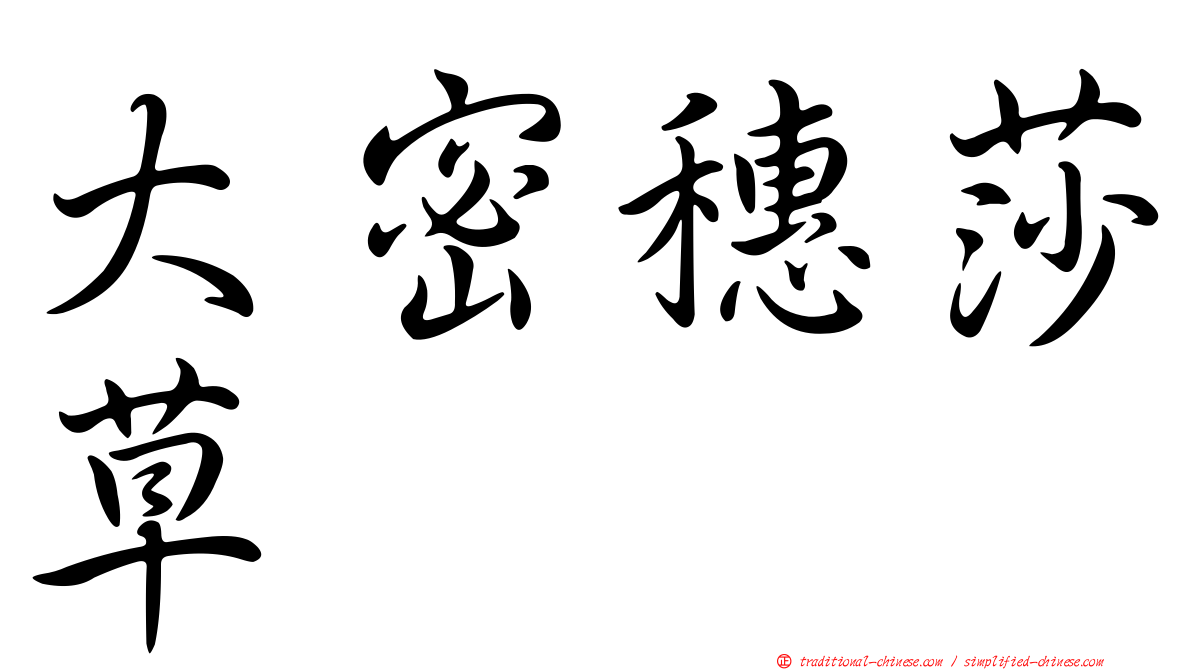 大密穗莎草