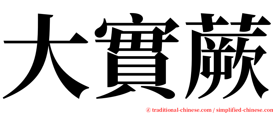 大實蕨 serif font
