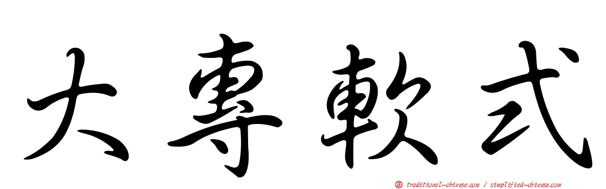 大專軟式