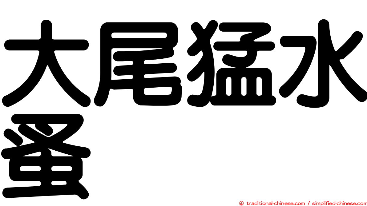 大尾猛水蚤