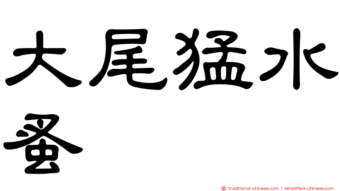 大尾猛水蚤