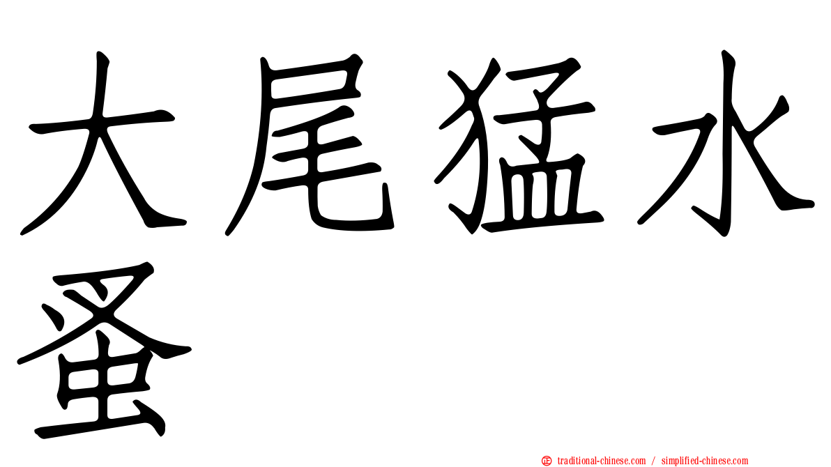 大尾猛水蚤
