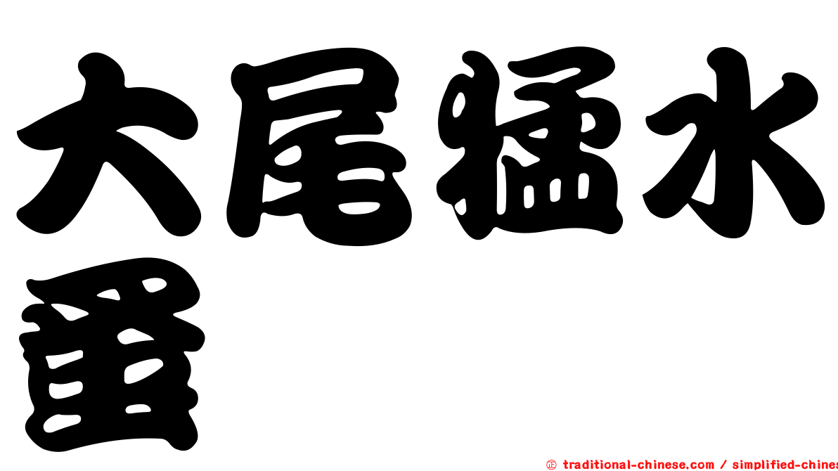 大尾猛水蚤